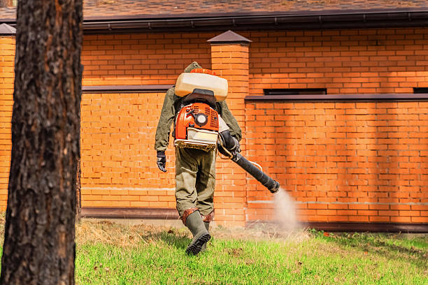 Bed Bug Clearance Verification and Documentation in Lorena